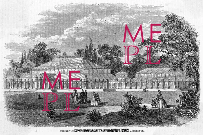 : KEW GARDENS : KEW GARDENS