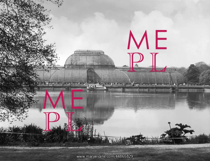 : KEW GARDENS PALM HOUSE : KEW GARDENS PALM HOUSE