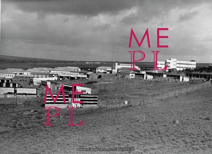 : Kibbutz in Palestine. About 1930. Photograph by Zoltan Kluger : Kibbutz in Palestine. About 1930. Photograph by Zoltan Kluger