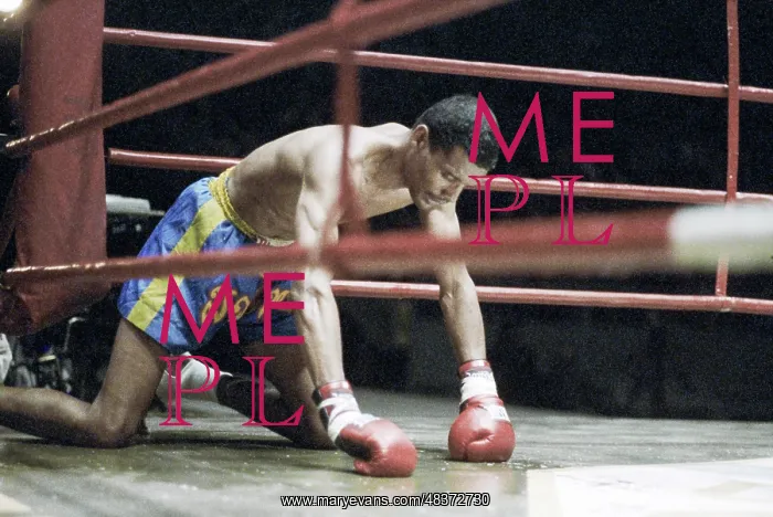 : Kickboxing World Championship Among Professionals : Kickboxing World Championship Among Professionals