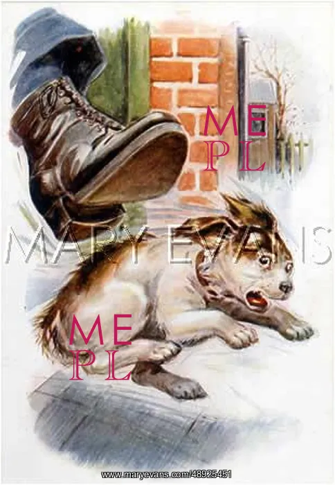 : KICKING A DOG : KICKING A DOG