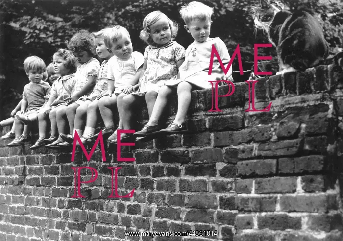 : KIDS & CAT ON A WALL : KIDS & CAT ON A WALL