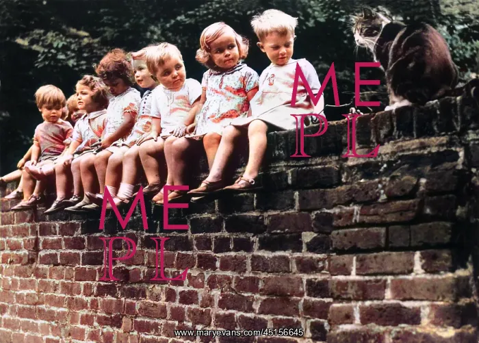 : KIDS & CAT ON A WALL : KIDS & CAT ON A WALL