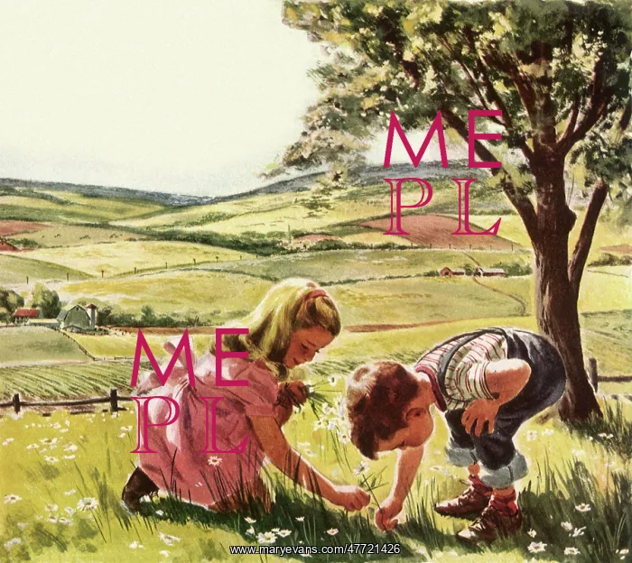: Kids Picking Daisies : Kids Picking Daisies