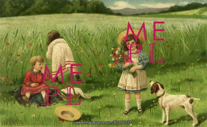 : Kids on Picnic : Kids on Picnic