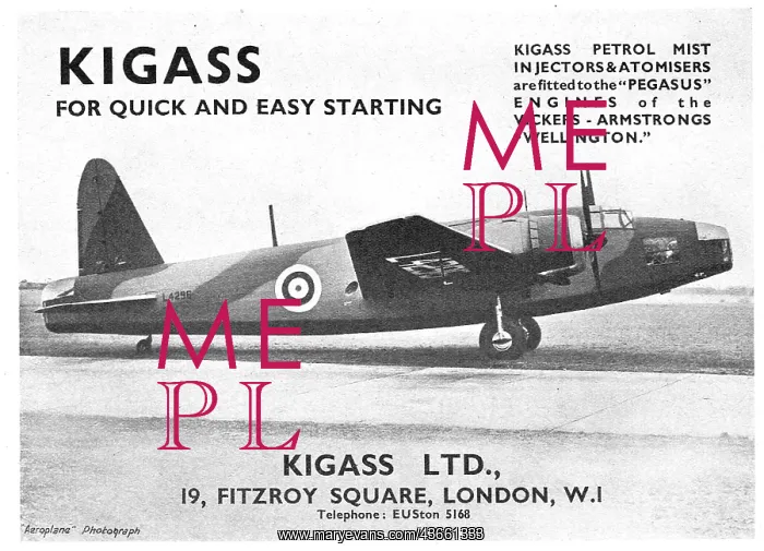 : Kigass Priming Pumps - Petrol Mist Injector : Kigass Priming Pumps - Petrol Mist Injector