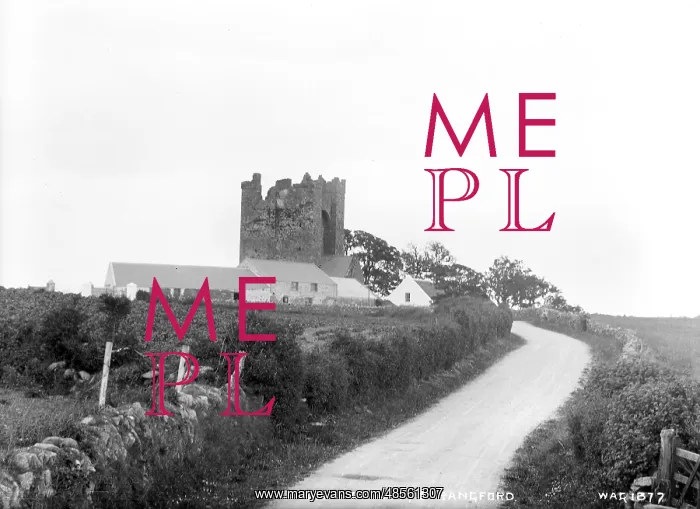 : Kilcleif Castle, Strangford : Kilcleif Castle, Strangford