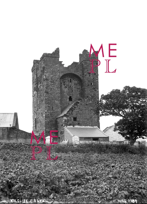 : Kilclief Castle : Kilclief Castle