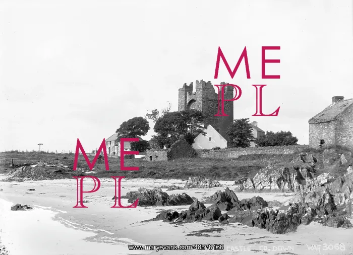 : Kilclief Castle : Kilclief Castle