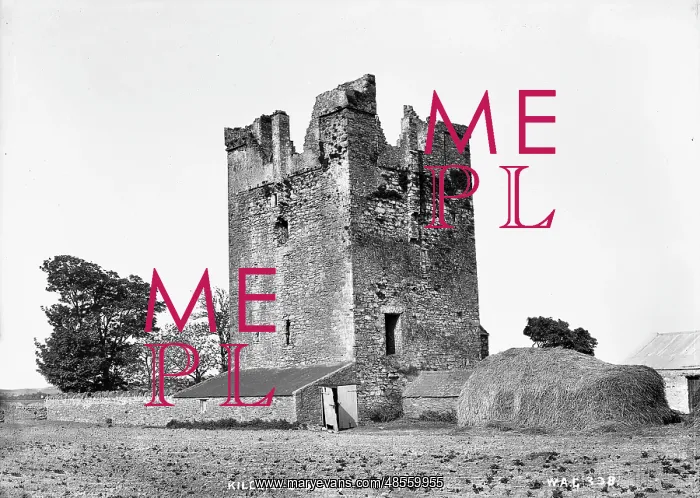 : Kilclief Castle, Strangford : Kilclief Castle, Strangford