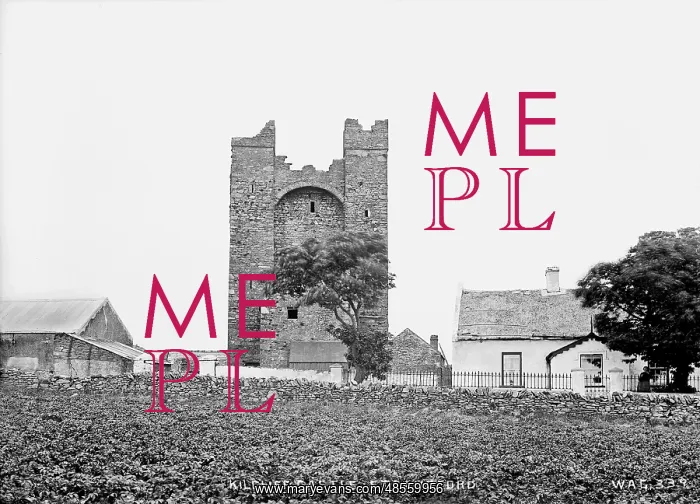 : Kilclief Castle, Strangford : Kilclief Castle, Strangford