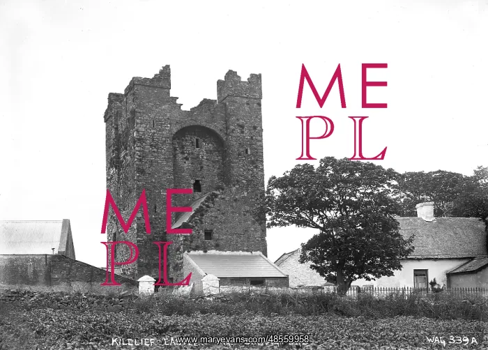 : Kilclief Castle, Strangford : Kilclief Castle, Strangford