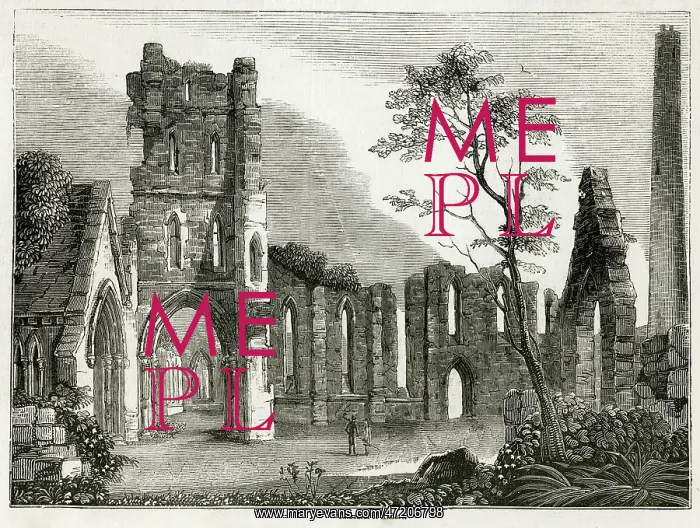 : kildare Cathedral : kildare Cathedral