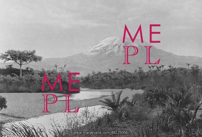 : Kilimanjaro : Kilimanjaro