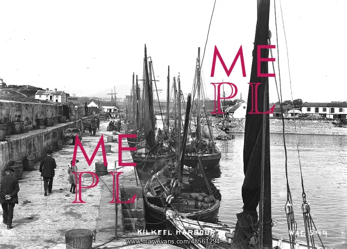 : Kilkeel Harbour : Kilkeel Harbour