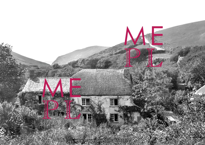  : Kilkhampton, Coombe Valley Mill 1929