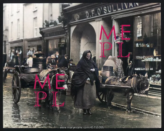 : Killarney Cart Woman : Killarney Cart Woman