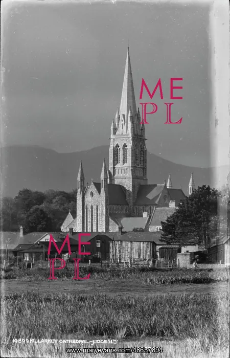 : Killarney Cathedral : Killarney Cathedral