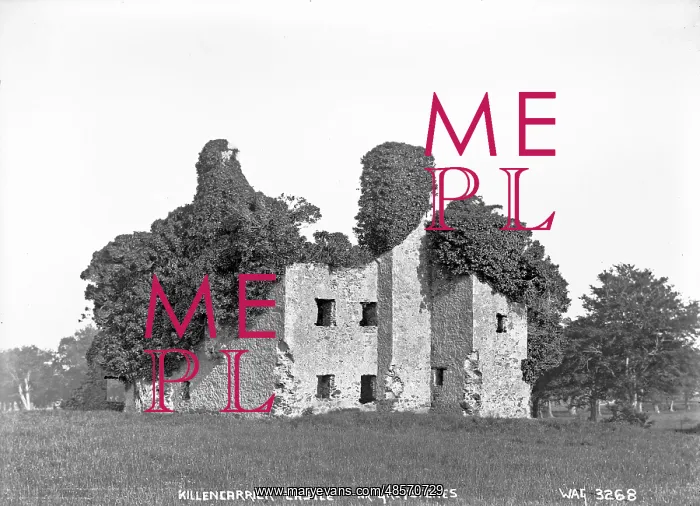 : Killencarrick Castle Nr. Greystones : Killencarrick Castle Nr. Greystones