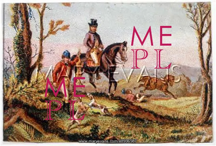 : KILLING A HARE : KILLING A HARE