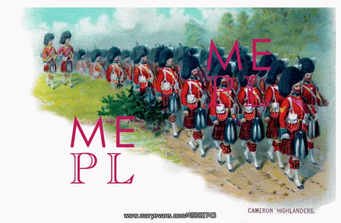 : Kilted marching column of Cameron Highladers : Kilted marching column of Cameron Highladers