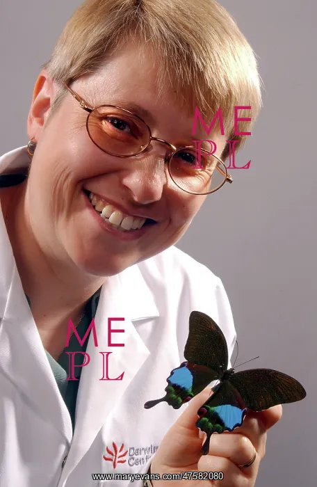 : Kim Goodger with butterfly specimen : Kim Goodger with butterfly specimen