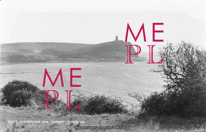 : Kimmeridge Bay : Kimmeridge Bay