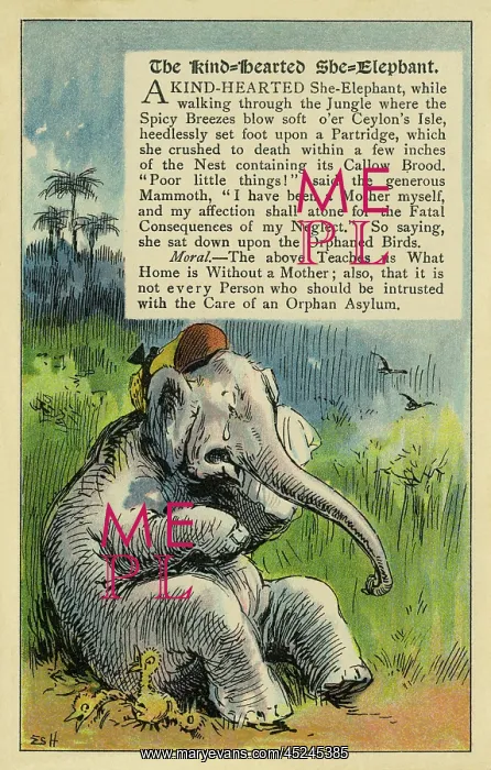 : The kind-hearted she elephant : The kind-hearted she elephant