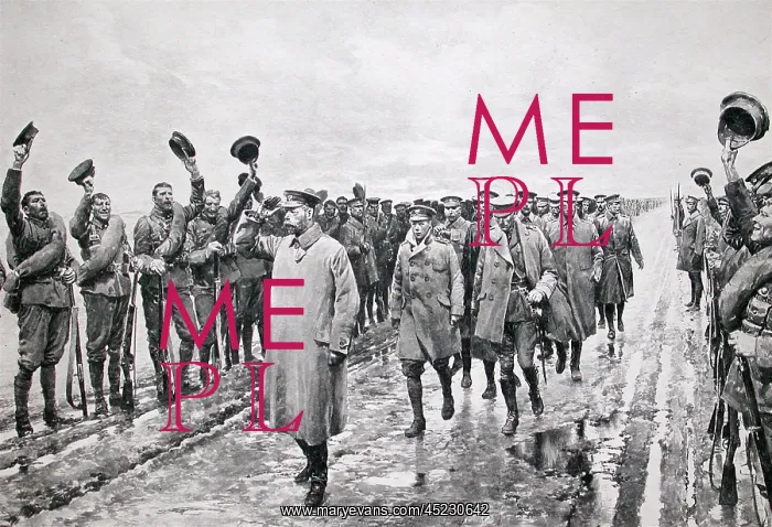 : The King at the Front : The King at the Front