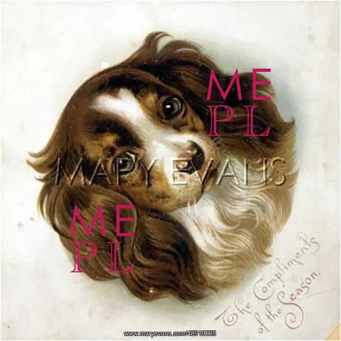 : KING CHARLES GREETING : KING CHARLES GREETING