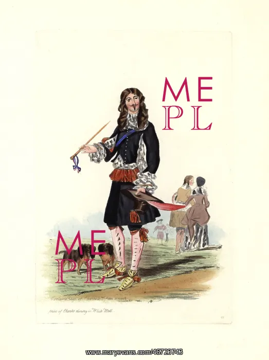: King Charles II with his spaniels : King Charles II with his spaniels
