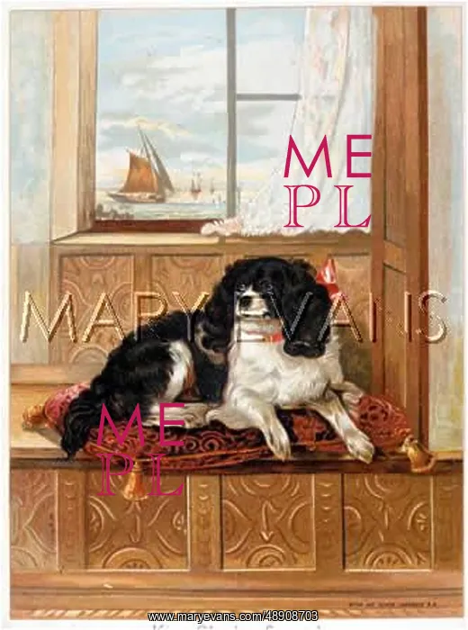 : KING CHARLES ON SEAT : KING CHARLES ON SEAT