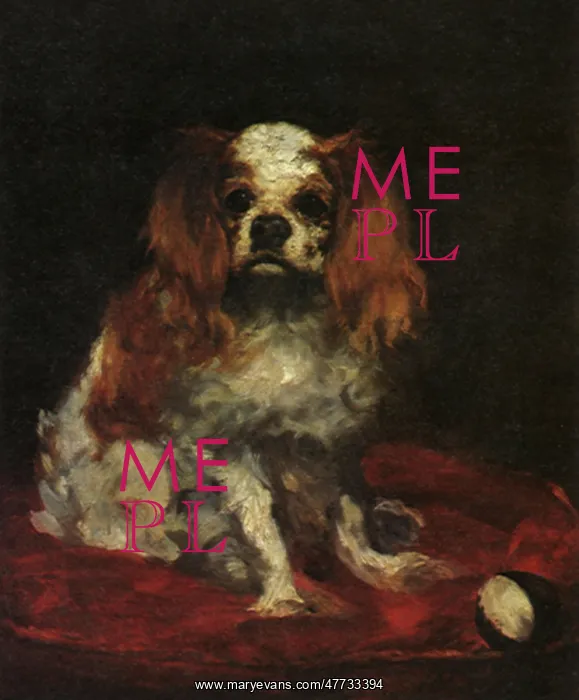  : A King Charles Spaniel, by Manet