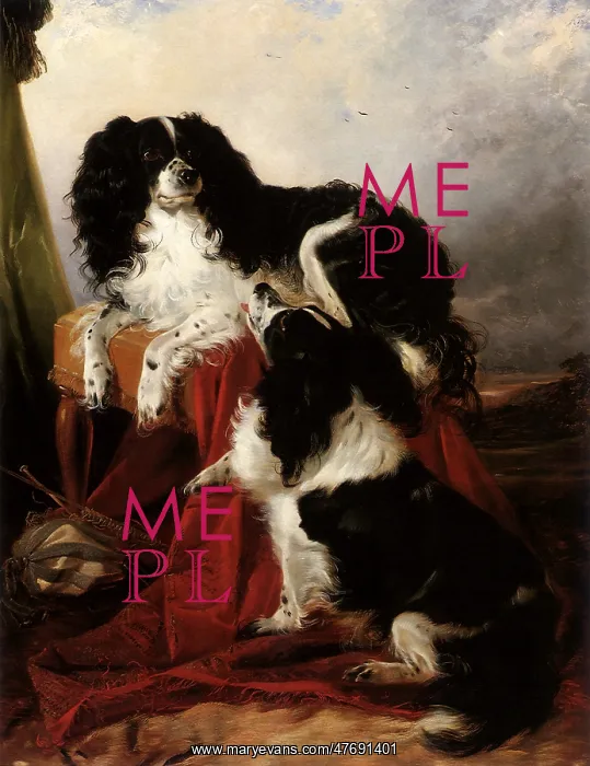  : King Charles Spaniels