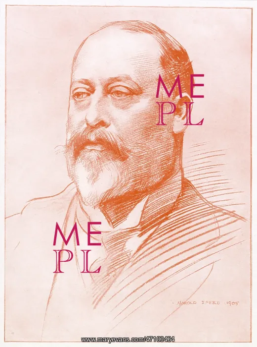 : King Edward VII : King Edward VII