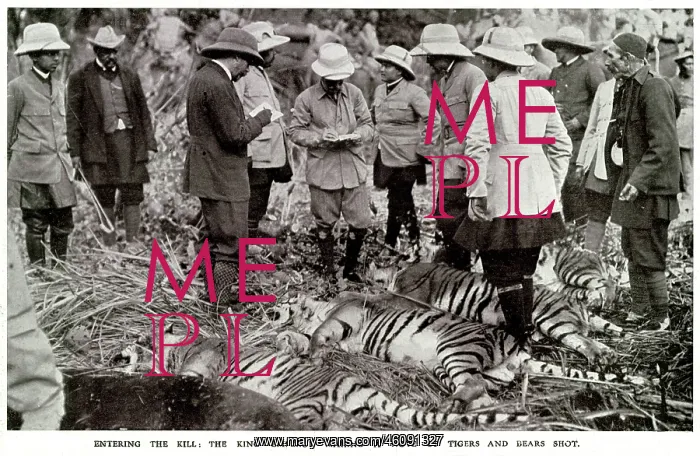 : King Emperor making notes of kills 1911 : King Emperor making notes of kills 1911
