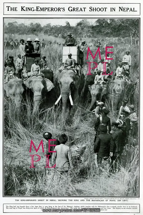 : King Emperor's great shoot in Nepal 1911 : King Emperor's great shoot in Nepal 1911