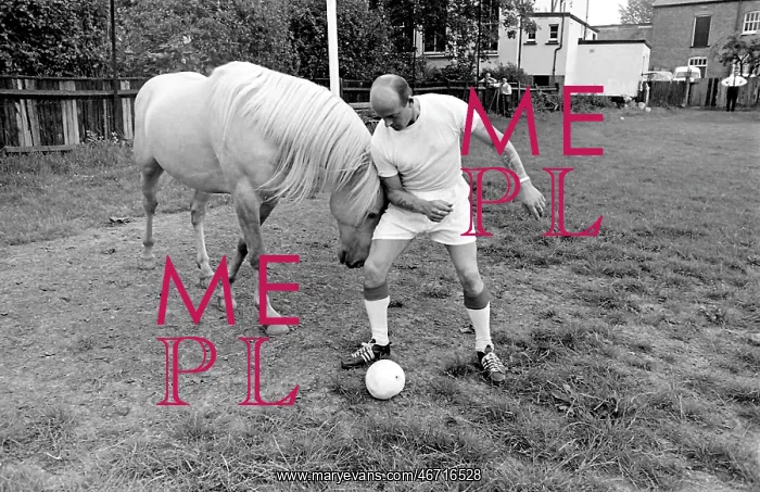 : King, the football-playing stallion : King, the football-playing stallion