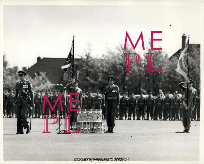 : King Frederick of Denmark inspecting at Canterbury : King Frederick of Denmark inspecting at Canterbury