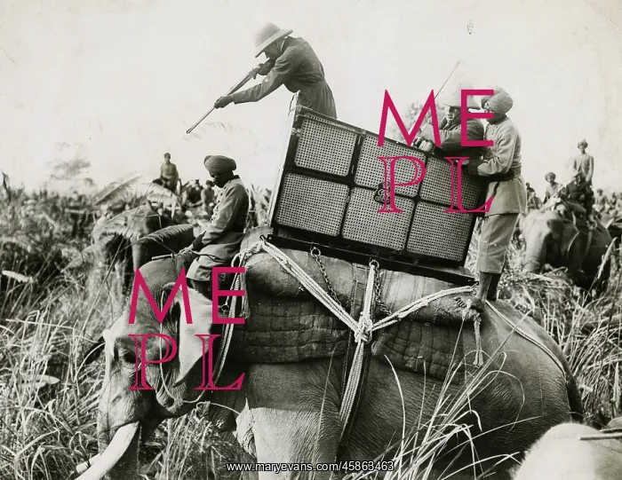 : King George V hunting : King George V hunting
