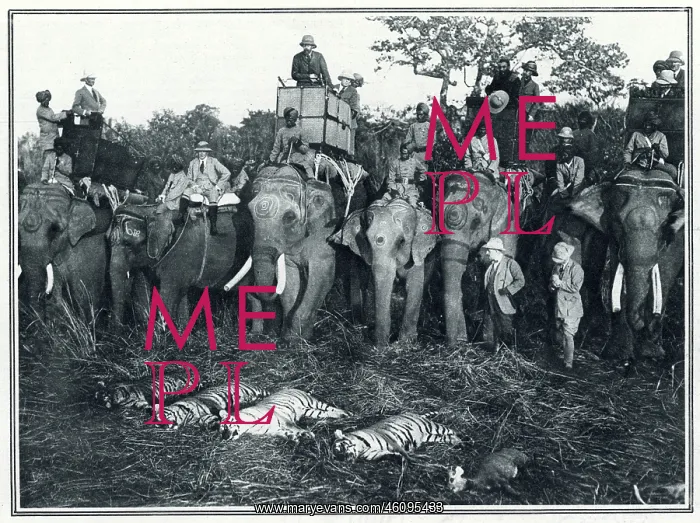 : King George V hunting : King George V hunting