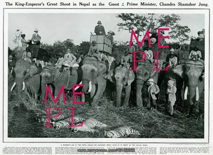 : King George V - shooting expedition 1911 : King George V - shooting expedition 1911