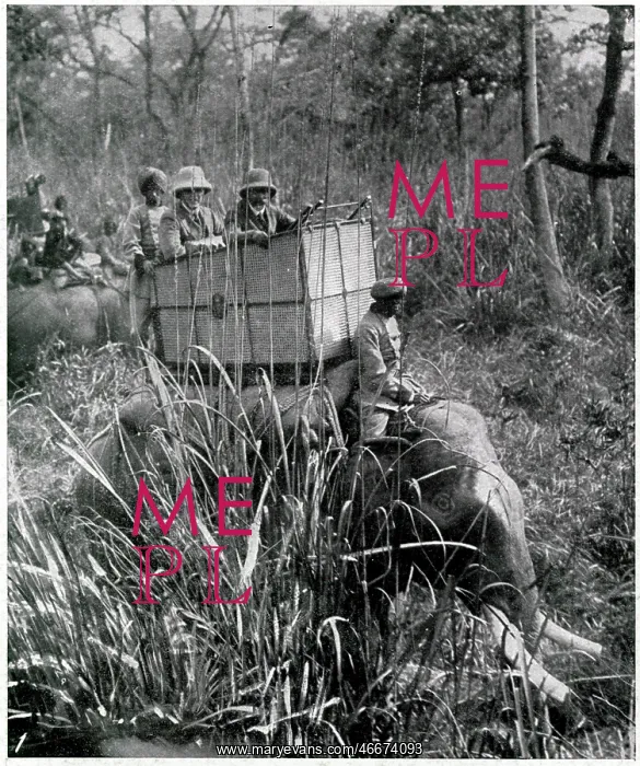 : King George V shooting expedition 1911 : King George V shooting expedition 1911