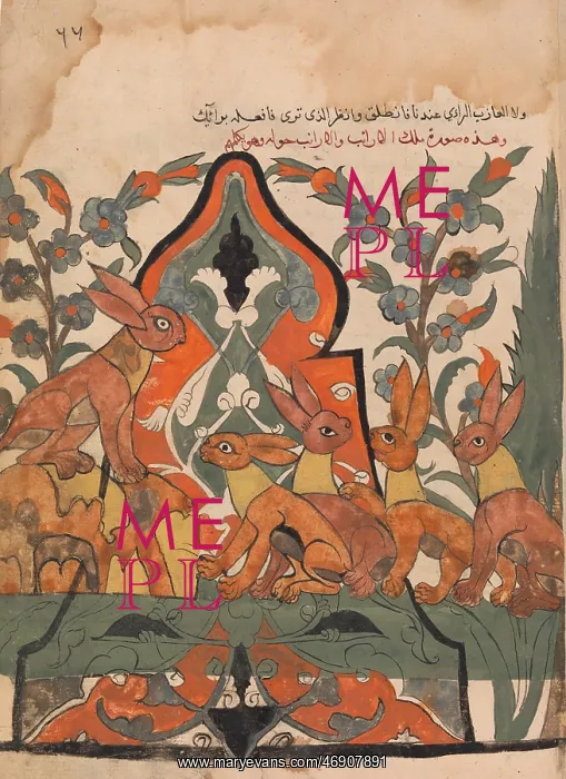 : The King of the Hares in Counsel with his Subjects : The King of the Hares in Counsel with his Subjects