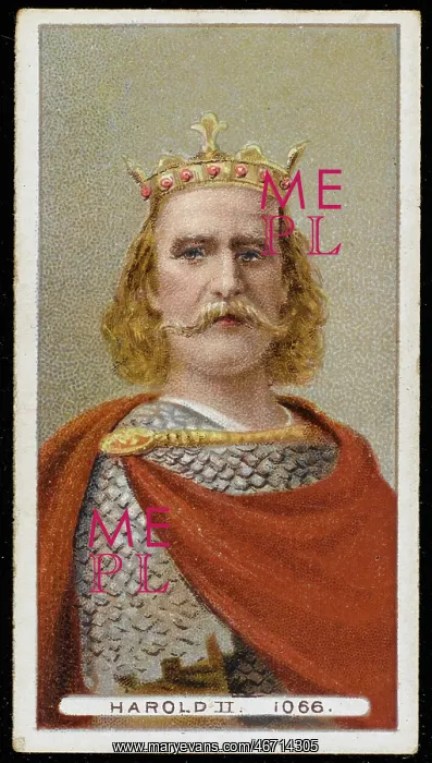 : King Harold II (Harold Godwinson) : King Harold II (Harold Godwinson)