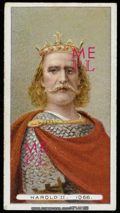 : King Harold II (Harold Godwinson) : King Harold II (Harold Godwinson)
