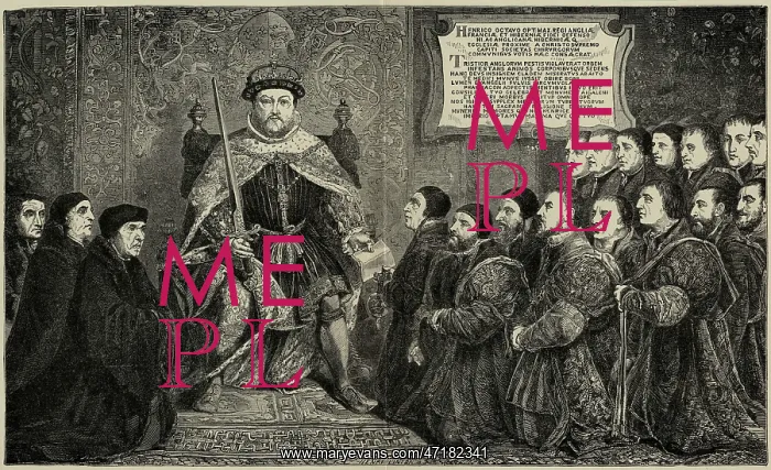 : King Henry VIII and surgeons : King Henry VIII and surgeons