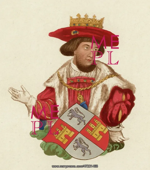 : King John of Portugal : King John of Portugal
