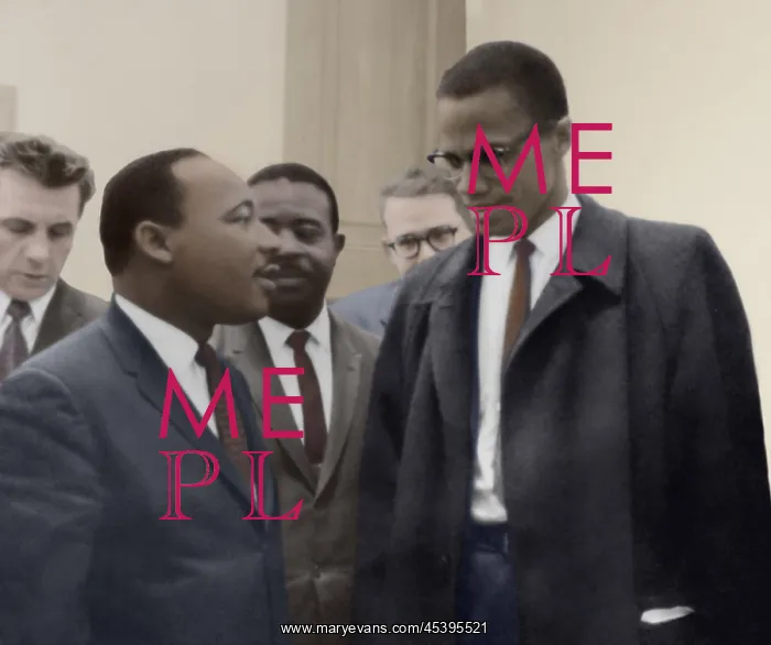 : King and Malcolm X both watched a Senate hearing : King and Malcolm X both watched a Senate hearing