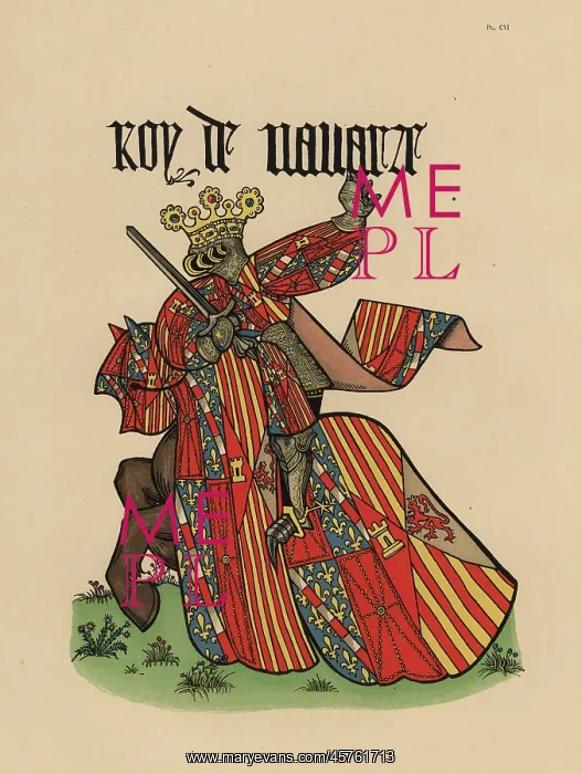 : King of Navarre, roi de Navarre : King of Navarre, roi de Navarre